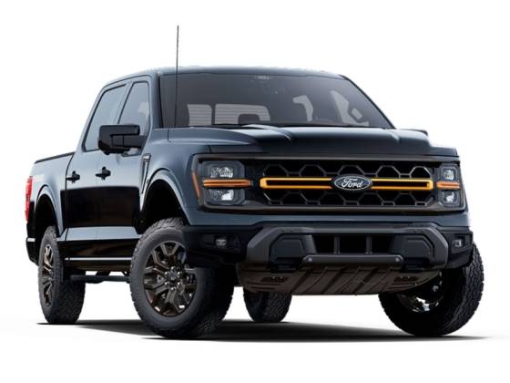 FORD F-150 5.0 V8 GASOLINA CD TREMOR FX4 AUTOMÁTICO